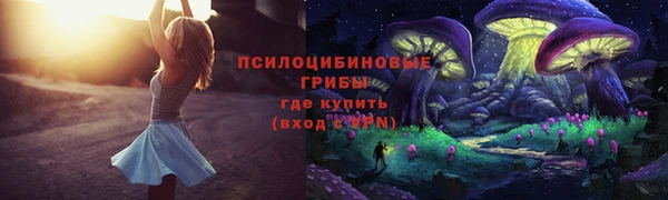 стафф Сясьстрой