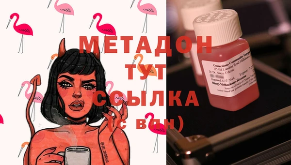 шишки Тайга