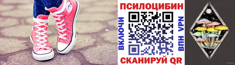 хочу   Светлогорск  Галлюциногенные грибы Cubensis 